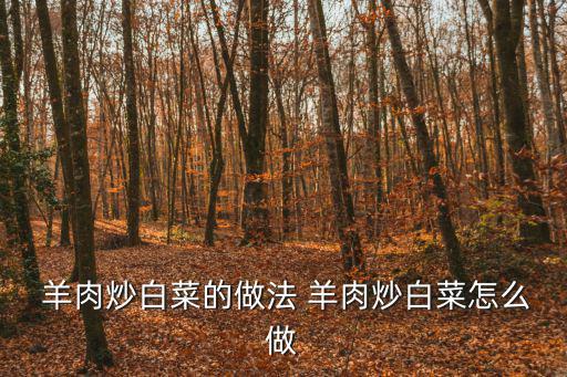 羊肉大白菜,第二道菜