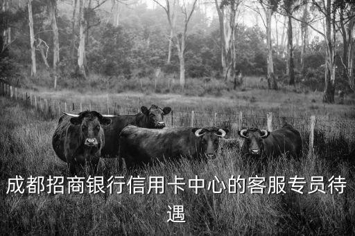 成都招商銀行信用卡中心的客服專員待遇