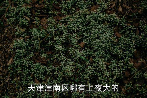 天津津南區哪有上夜大的