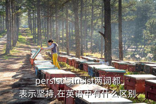 persist與insist兩詞都表示堅持,在英語中有什么區(qū)別