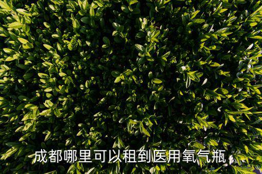 成都哪里可以租到醫用氧氣瓶