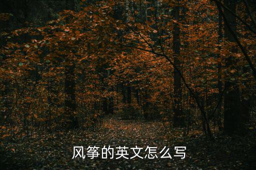  風箏的英文怎么寫