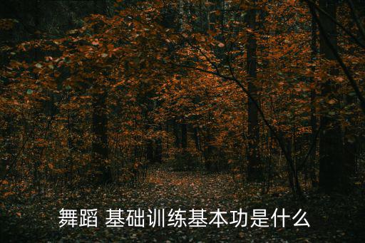 舞蹈基礎,舞蹈是理解音樂情感的結合