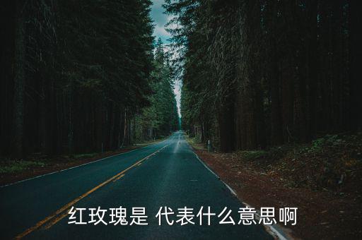  紅玫瑰是 代表什么意思啊