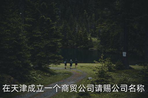 在天津成立一個(gè)商貿(mào)公司請(qǐng)賜公司名稱