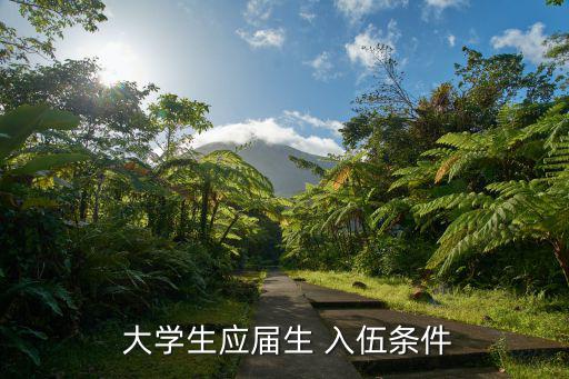  大學生應屆生 入伍條件