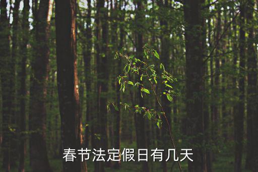 春節假日,今年的春節放假日有哪些?