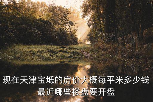 現(xiàn)在天津?qū)氎娴姆績r大概每平米多少錢最近哪些樓盤要開盤