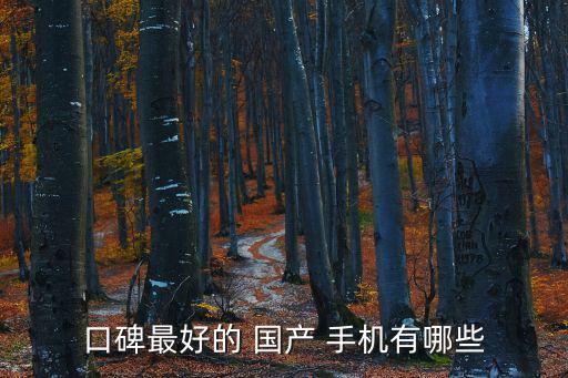 口碑最好的 國產 手機有哪些
