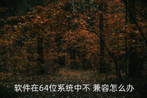  軟件在64位系統中不 兼容怎么辦
