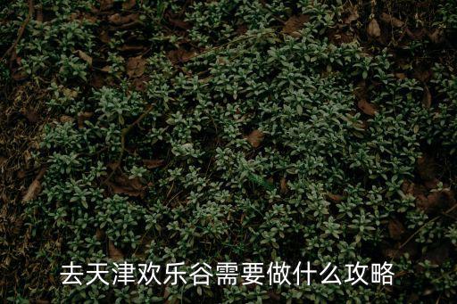 去天津歡樂谷需要做什么攻略