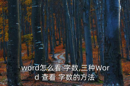  word怎么看 字數,三種Word 查看 字數的方法