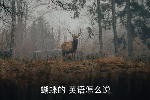  蝴蝶的 英語怎么說