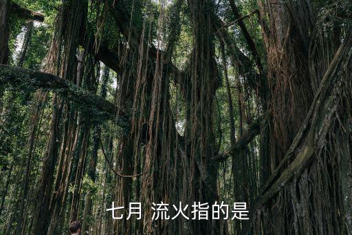 七月流火指天氣,古人把七月誤解為公公七月形容天氣熱