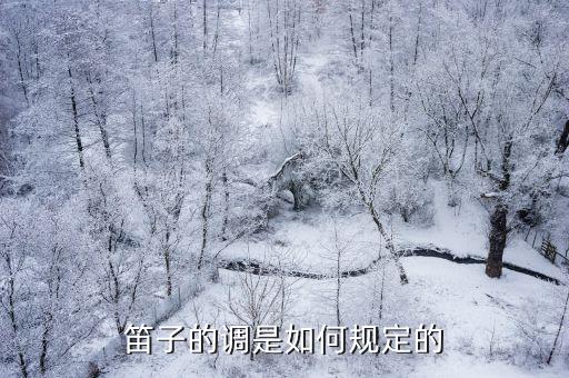 笛子的調(diào)是如何規(guī)定的