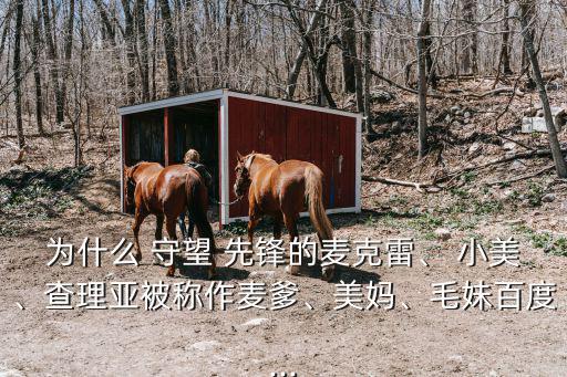 為什么 守望 先鋒的麥克雷、 小美、查理亞被稱作麥爹、美媽、毛妹百度...