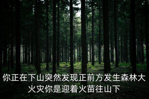 你正在下山突然發現正前方發生森林大火災你是迎著火苗往山下