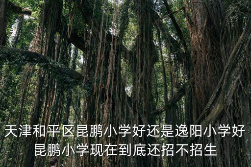 天津和平區(qū)昆鵬小學好還是逸陽小學好昆鵬小學現(xiàn)在到底還招不招生