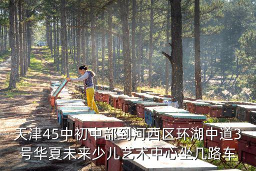 天津45中初中部到河西區(qū)環(huán)湖中道3號(hào)華夏未來(lái)少兒藝術(shù)中心坐幾路車(chē)
