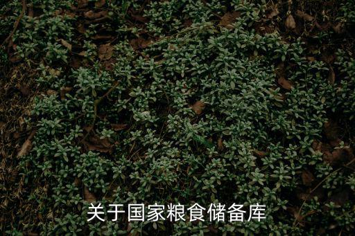 關于國家糧食儲備庫