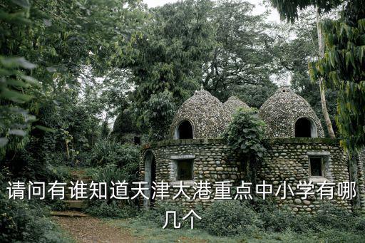 請問有誰知道天津大港重點中小學有哪幾個