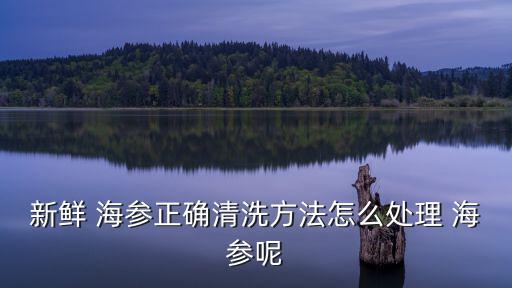 海參怎么洗,先把純化水和海參放進鍋里再把沉淀物洗去