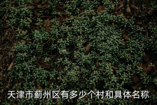 天津市薊州區有多少個村和具體名稱