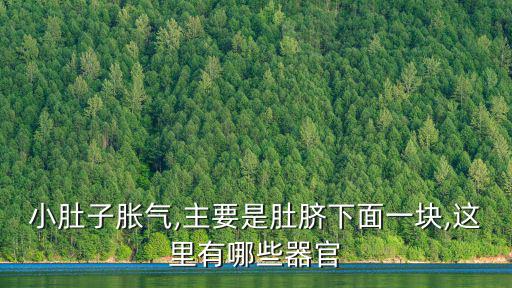 下腹脹氣,女性腹脹疼痛其實更低可能是生理期