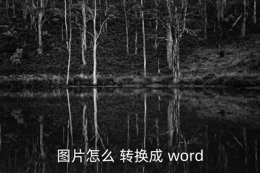圖片怎么 轉換成 word