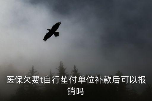 醫保欠費t自行墊付單位補款后可以報銷嗎
