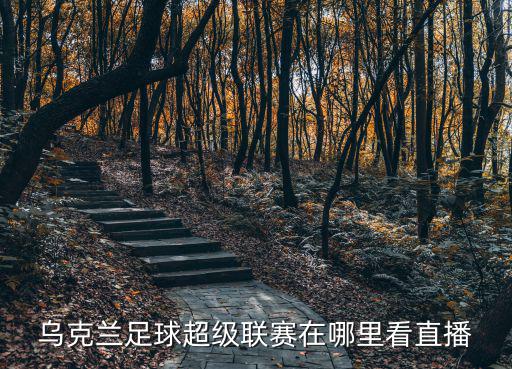 烏克蘭足球超級聯(lián)賽在哪里看直播