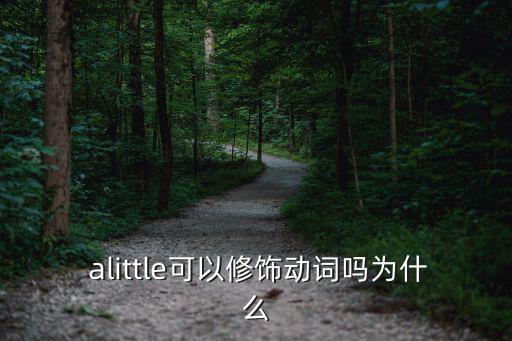 alittle,微不足道alittle可以變身小巧玲瓏