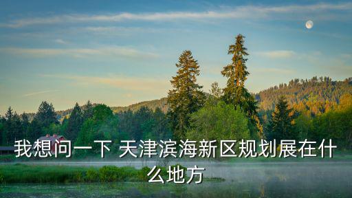 我想問一下 天津濱海新區(qū)規(guī)劃展在什么地方