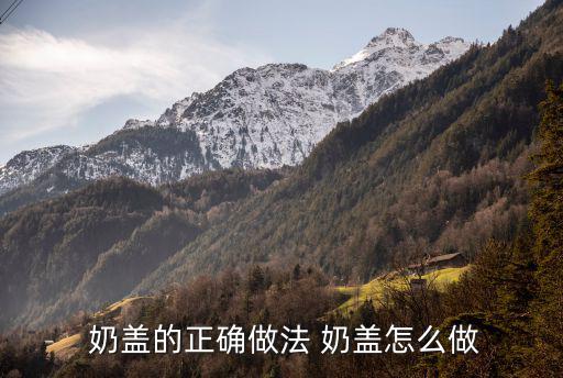  奶蓋的正確做法 奶蓋怎么做