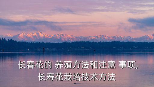 長春花的養殖方法和注意事項