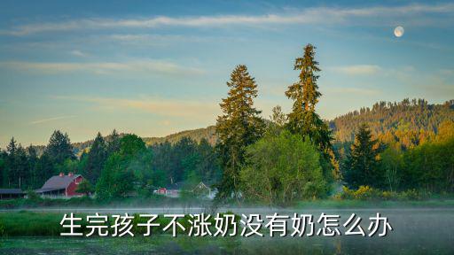 生完孩子不漲奶沒有奶怎么辦