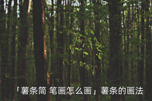 盒子簡筆畫,第二集:塞羅的冰淇淋盒裝了什么?