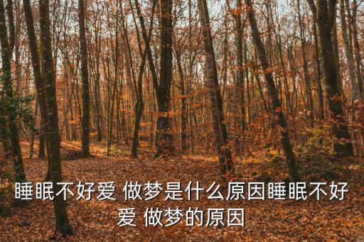 愛(ài)做夢(mèng)是什么原因,睡眠質(zhì)量好對(duì)他沒(méi)有刺激夜里做夢(mèng)不會(huì)頭暈