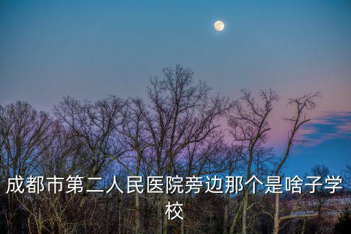 成都市第二人民醫院旁邊那個是啥子學校