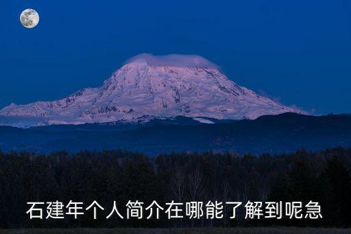 石建年個人簡介在哪能了解到呢急