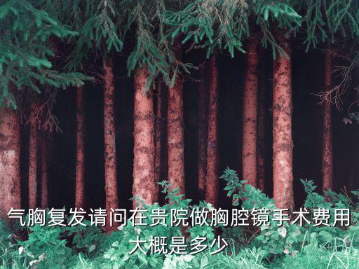 成都市第二人民醫院陳科宇，氣胸復發請問在貴院做胸腔鏡手術費用大概是多少