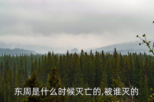 東周是什么時(shí)候滅亡的,被誰滅的