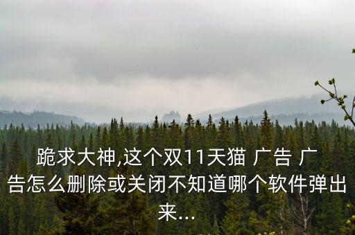 跪求大神,這個雙11天貓 廣告 廣告怎么刪除或關閉不知道哪個軟件彈出來...