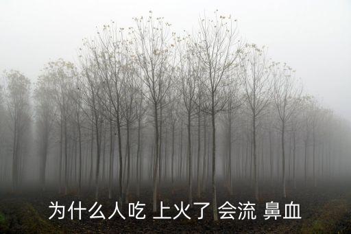 為什么人吃 上火了 會流 鼻血