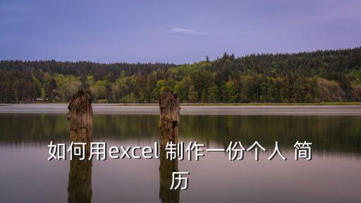 如何用excel 制作一份個人 簡歷