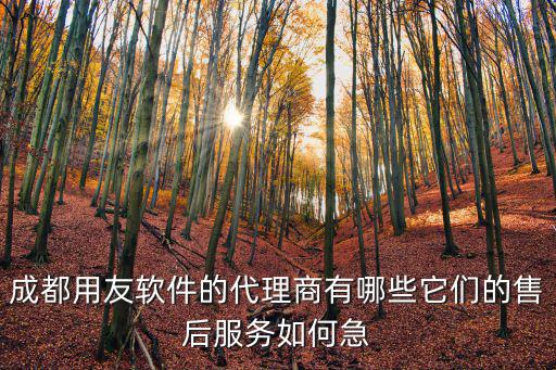 成都用友軟件的代理商有哪些它們的售后服務(wù)如何急