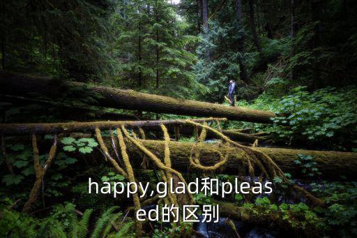 happy同義詞,關(guān)于高興和happy的意思