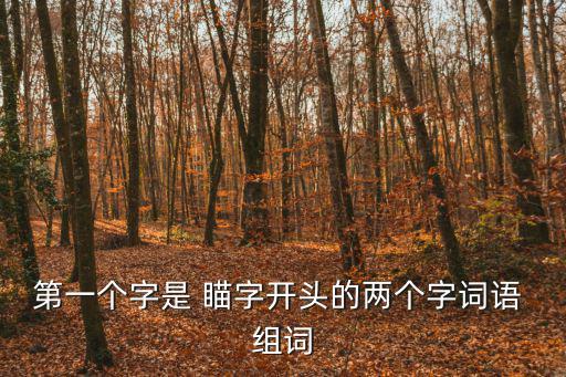 第一個字是 瞄字開頭的兩個字詞語 組詞