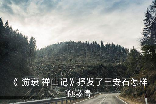 游褒禪山記,本文以小見大游山玩水說明治學道理