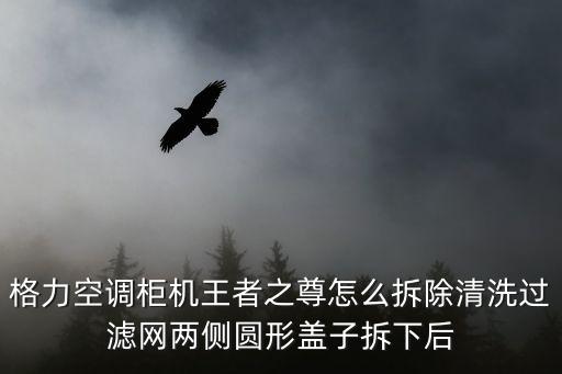 格力空調柜機王者之尊怎么拆除清洗過濾網兩側圓形蓋子拆下后
